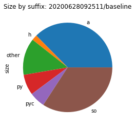 Size by suffix for the `baseline` environment